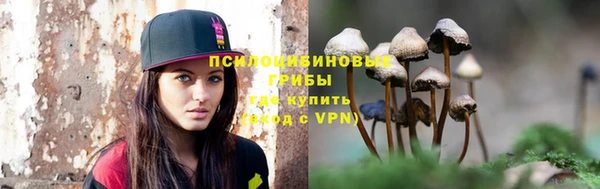 мдпв Богородицк
